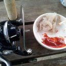 대천항세꼬시 이미지