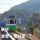 세븐일레븐송정라인점 | 뚜벅이 부산 여행 당일치기 송정에서 청사포까지 해운대 그린레일웨이 겨울바다 산책