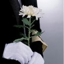 간석1동-11 이미지