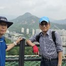 26년 7월 서대문구 안산 초록숲길 가다! 이미지