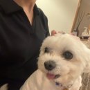 양이주택 게스트하우스 이미지