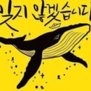 세월호 참사 - 대한민국 미래의 청춘을 잃은 슬픔 - 특별판