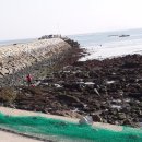 가나안펜션 이미지