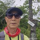 26.5.21.8교대역.여수돌산.봉황산.금오산.항일암.(여심산) 이미지