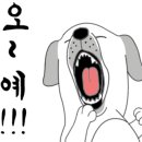 시그널피자 이미지