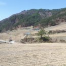 석포면사무소 이미지