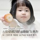 안정문농장 | 스트로베리문 설향딸기 AI스마트팜 사계절 내내 달콤한 딸기 후기