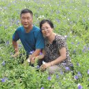 선돌농장 이미지