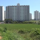 석문면사무소 이미지