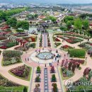 장미축제 이미지