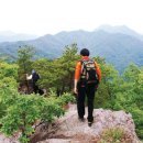 충남 금산군 남이면ㆍ전북 진안군 주천면 성치산 (670m) 이미지