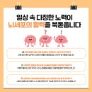지혜내과의원 네이버블로그