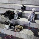 아리랑하우스 이미지