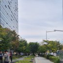 씨유 송파테라타워점 | 문정역 미용실 준오헤어 문정역테라타워점 톤다운 송파미용실 후기