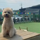 트레밍MM 이미지