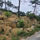 YJ펜션(고운산장) 이미지