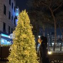 6675 | ㅣ대전 봉명동ㅣ 분위기 좋은 대전 와인바 '코이누르' 내돈내산 추천 후기 (+콜키지 프리 방법)