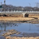 동산정 네이버블로그