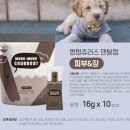 신진덴탈 네이버블로그