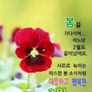 2월 28일 월요일 간추린 뉴스 이미지