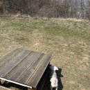 전진목장 이미지