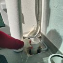 동성백두 이미지