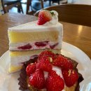 [문래] 쉐프 조 Chef Cho 딸기케이크&amp;타르트🍓🍰내돈내산 후기