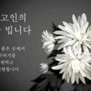 유인하 총대장님의 큰형수님께서 소천하셨습니다 이미지