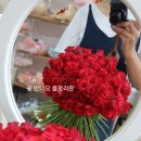 플로라온