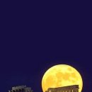 둥근달 이미지