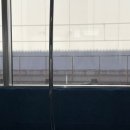 시즈오카에서 시미즈 어시장 마구로이빠이동 실패 후기