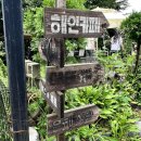 해인 | [평택 카페] 해인카페 내돈내산 후기, 생망고 빙수와 홍콩식 에그와플