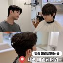 서면 중심가 동물약국 | 부산 전포 미용실 서면 남자 머리 메인헤어위그