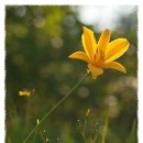 금강여관 이미지