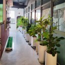 수완골프아카데미 이미지