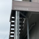 센티멘트 Sentiment | 연희동 감성 카페 센티멘트, 다양한 좌석과 루프탑 뷰까지
