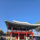 주식회사 원조나주곰탕 | [나주 곰탕] 나주곰탕하얀집 원조 곰탕 맛집