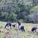 Banyuls-Collioure : les vignerons en quête de solutions 이미지