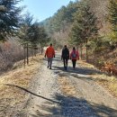 운문골마실길 이미지