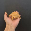 동탄대로21가길 이미지