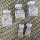 클로젠동물병원 | [단백뇨 PLN 사구체신염 의심질환 강아지] 항암제 복약 루틴과 알부민 상승 기록
