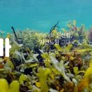 대복 주식회사 이미지