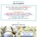 수다푸드