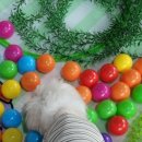 아리엘언니 이미지