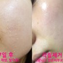 제이바이오케어