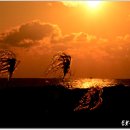 해오름 빛 이미지