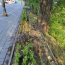 시민정원 이미지