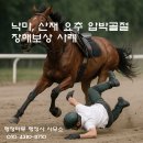 행정사사무소 행정마루 이미지