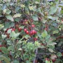 산너울가든 이미지