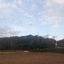 향림동산(흑염소농장) 이미지